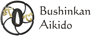 Oficina de Aikido - Bushinkan